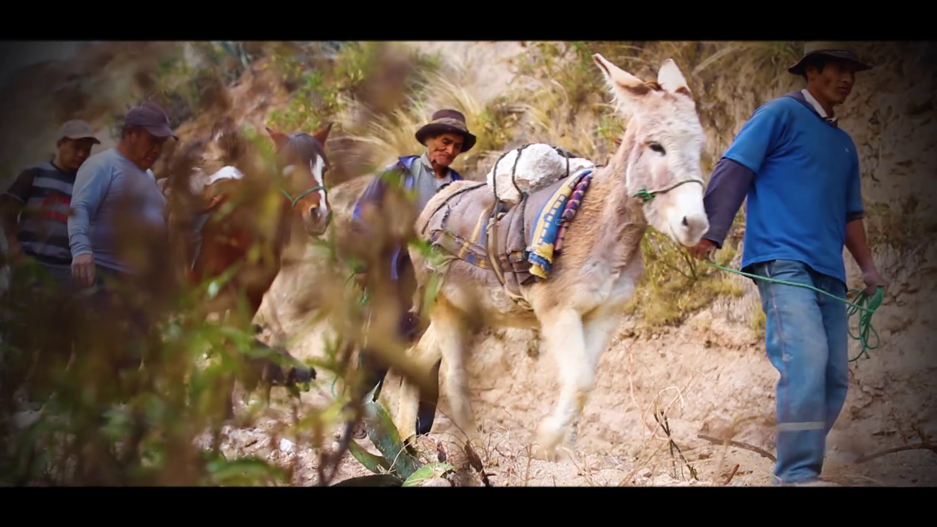 Transporte de piedras con burros